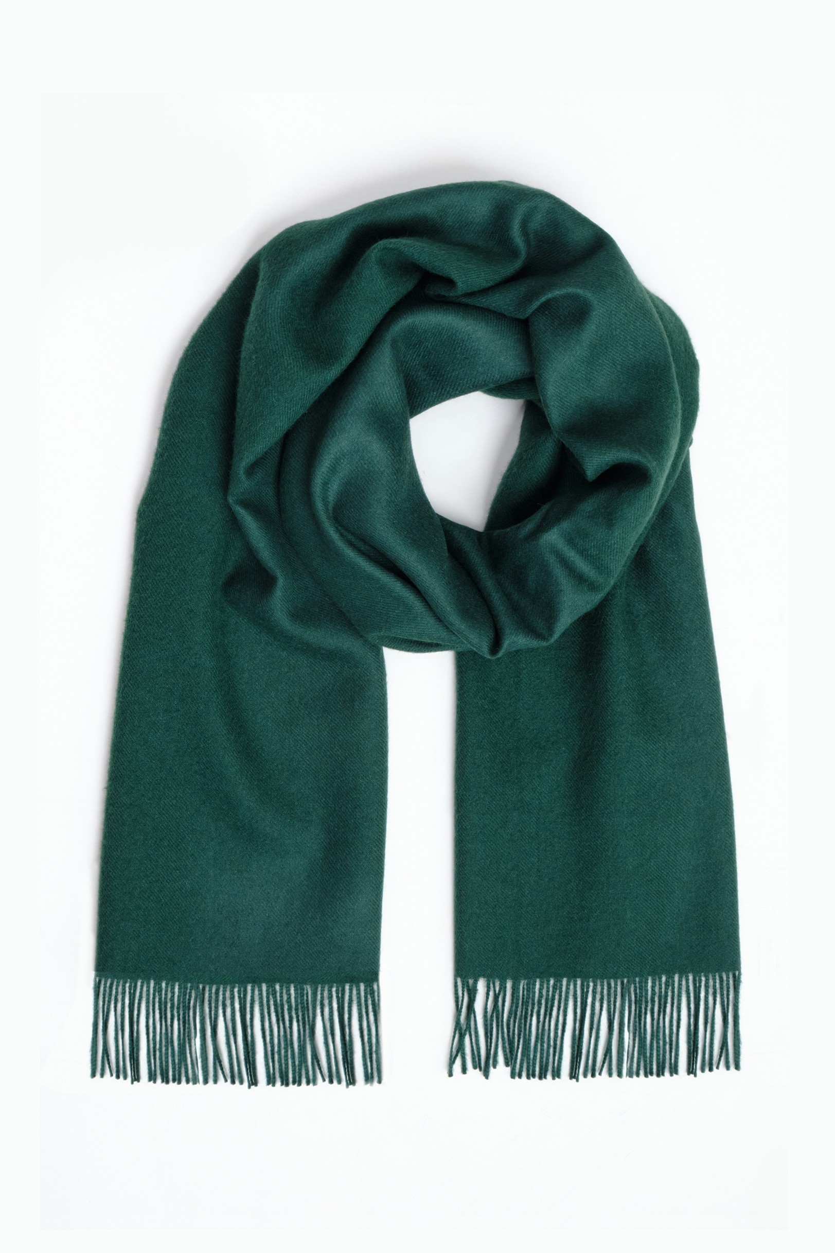 Midihuivi, havunvihreä